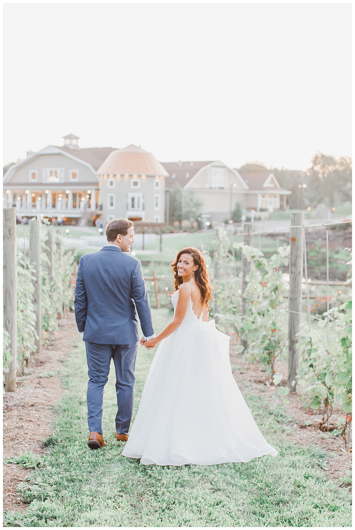 Vineyard Bride and Groom Wedding 