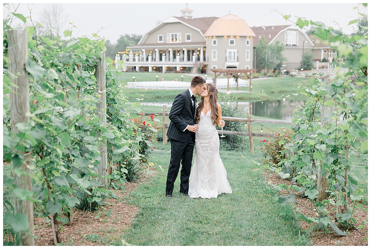 bride and groom kissing in vineyard 