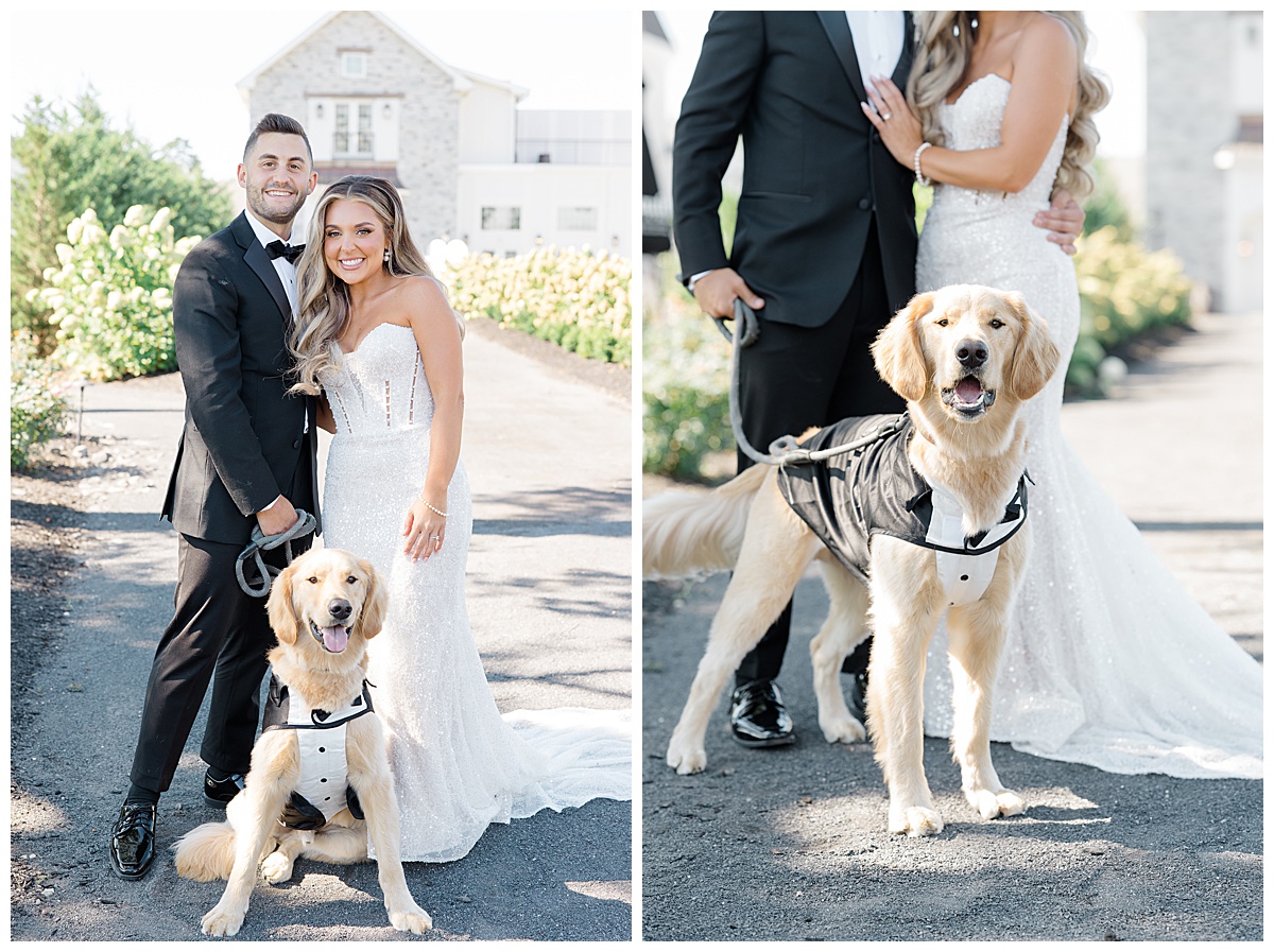 Bride and groom with golden retriever dog at Renault Winery. 