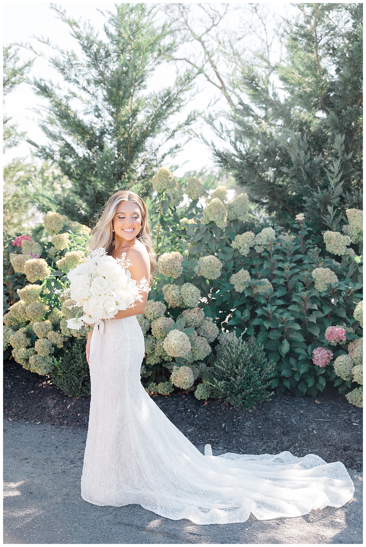 Bride with sunlight in front of hydrangeas at Renault Winery.