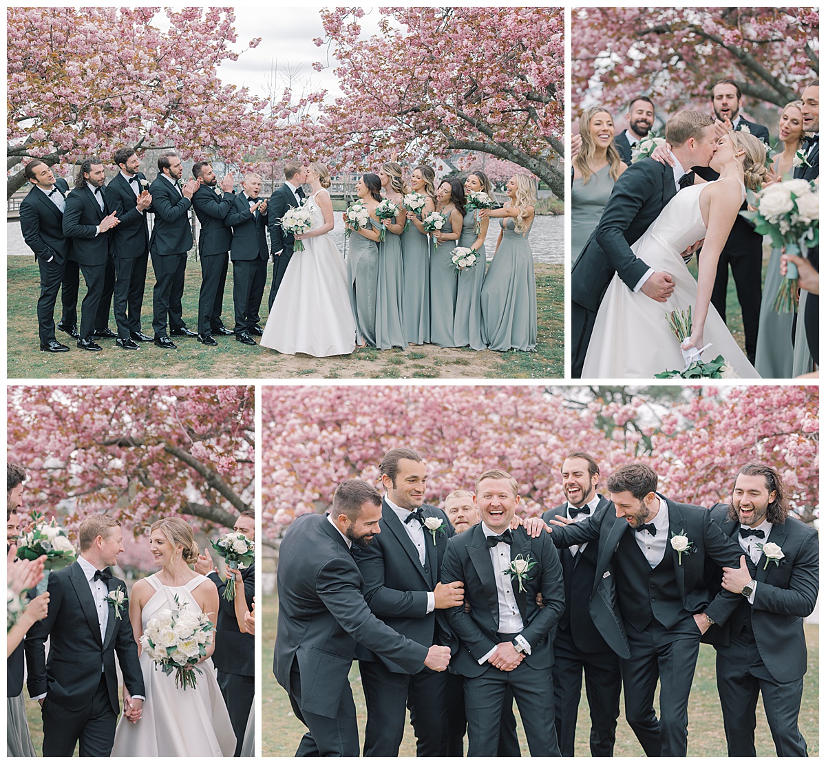 Bride and groom with bridal party in sage dresses and black tuxedos under the cherry blossoms. 